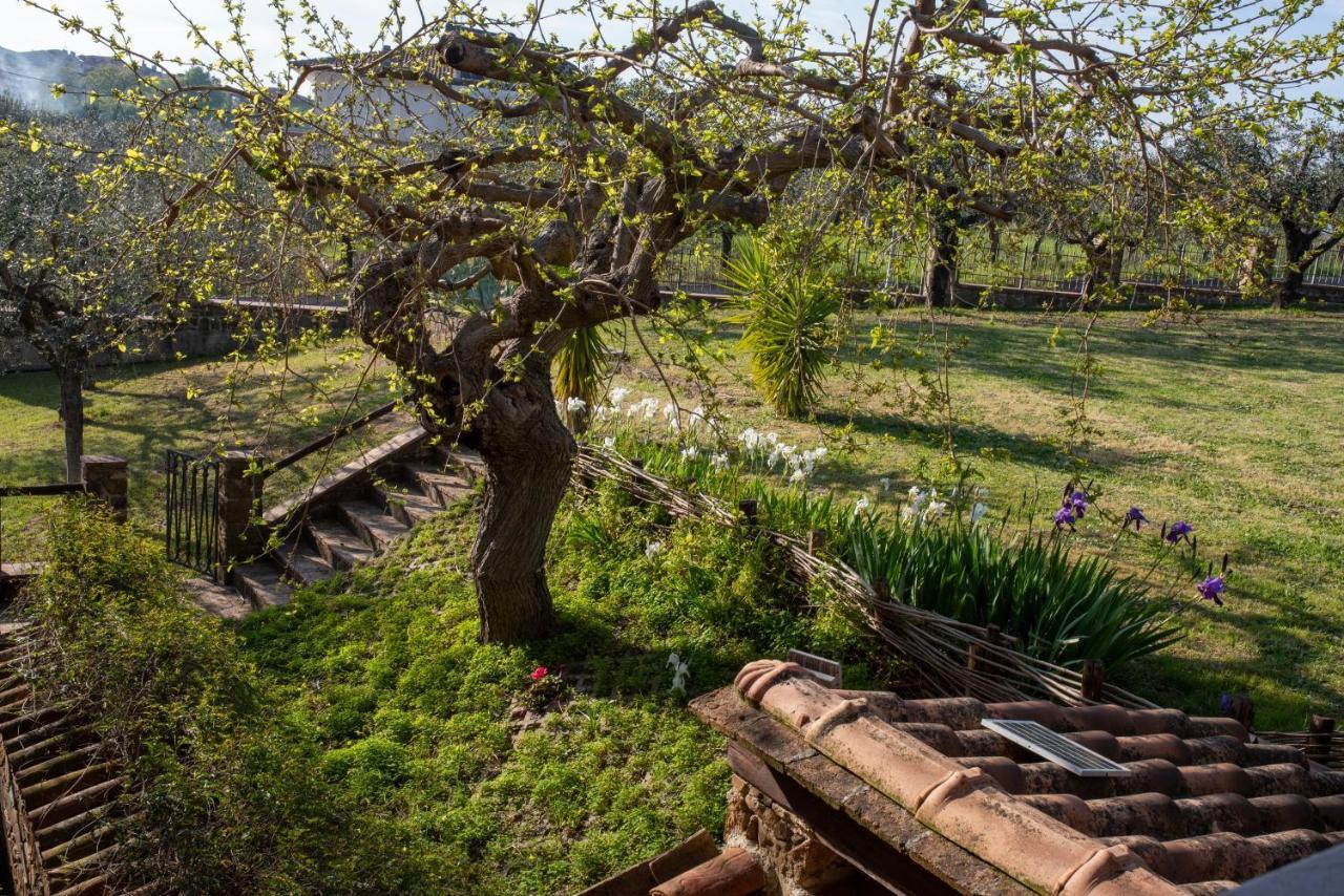 La Ginestra Hotel Castel San Lorenzo Kültér fotó